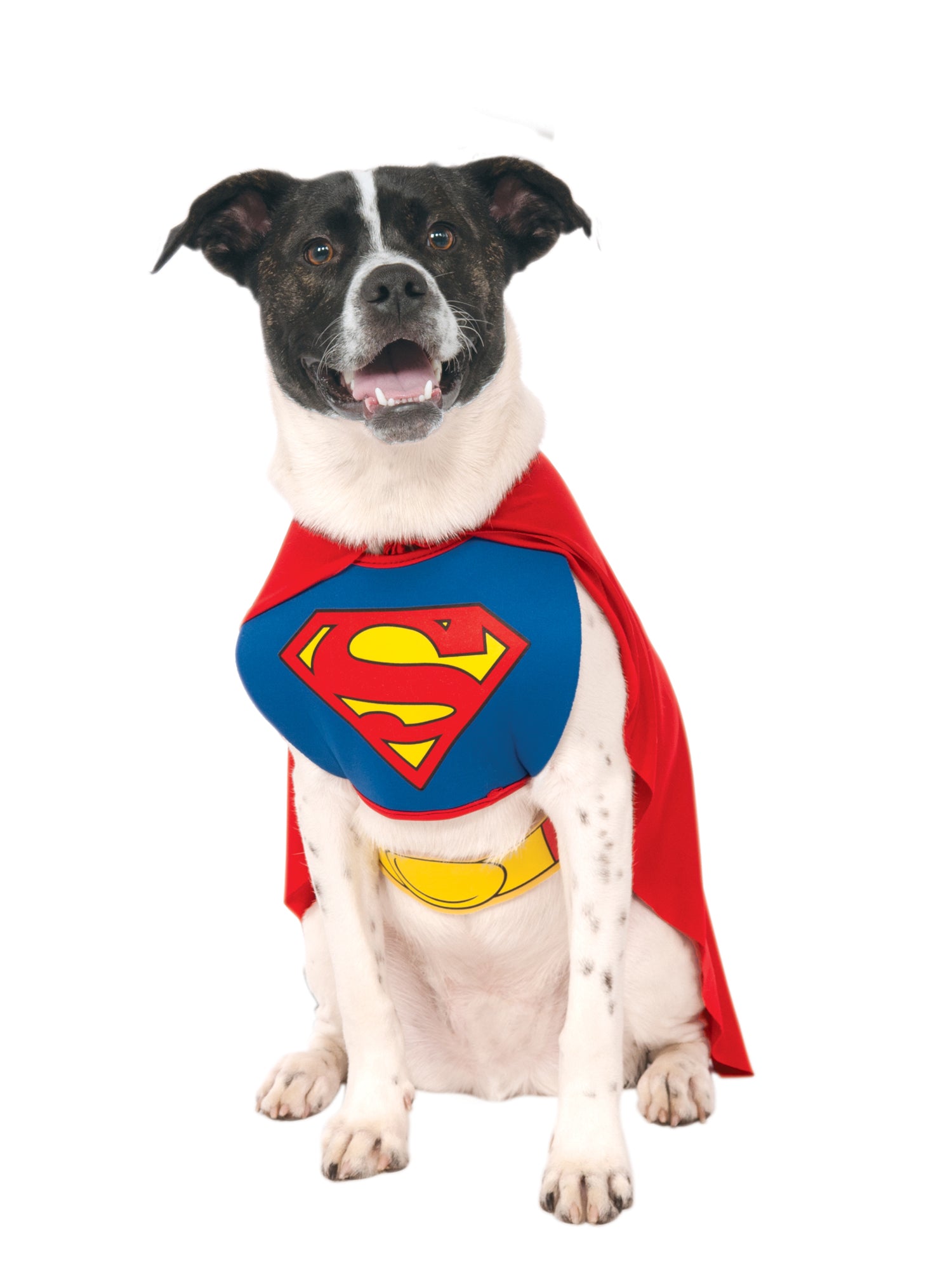 Superman Dog Costume 1