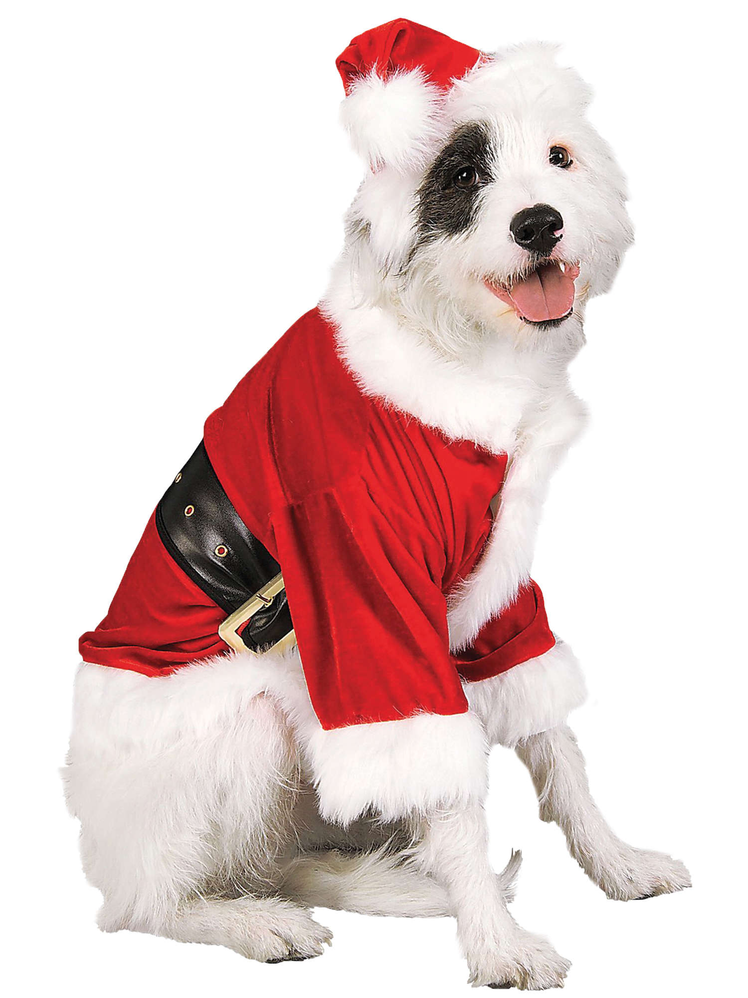 Santa Claus Pet Costume 1