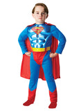 Metallic Chest Dc Superman - Childrens 1
