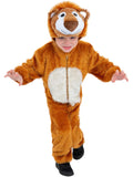Lion Costume 1