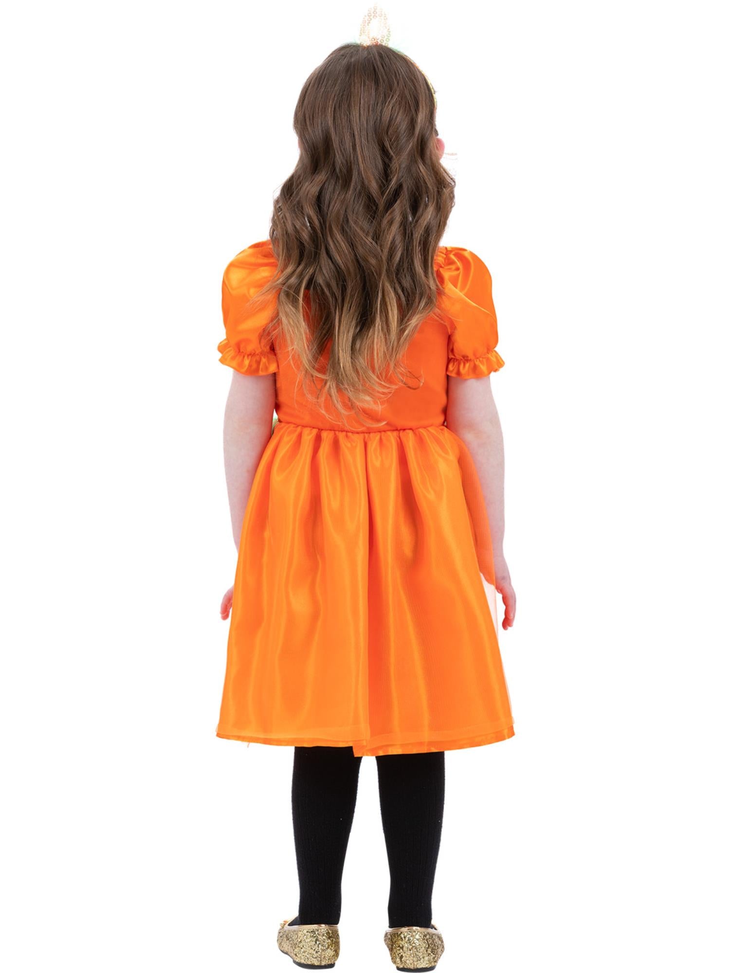 Pumpkin Costume 2