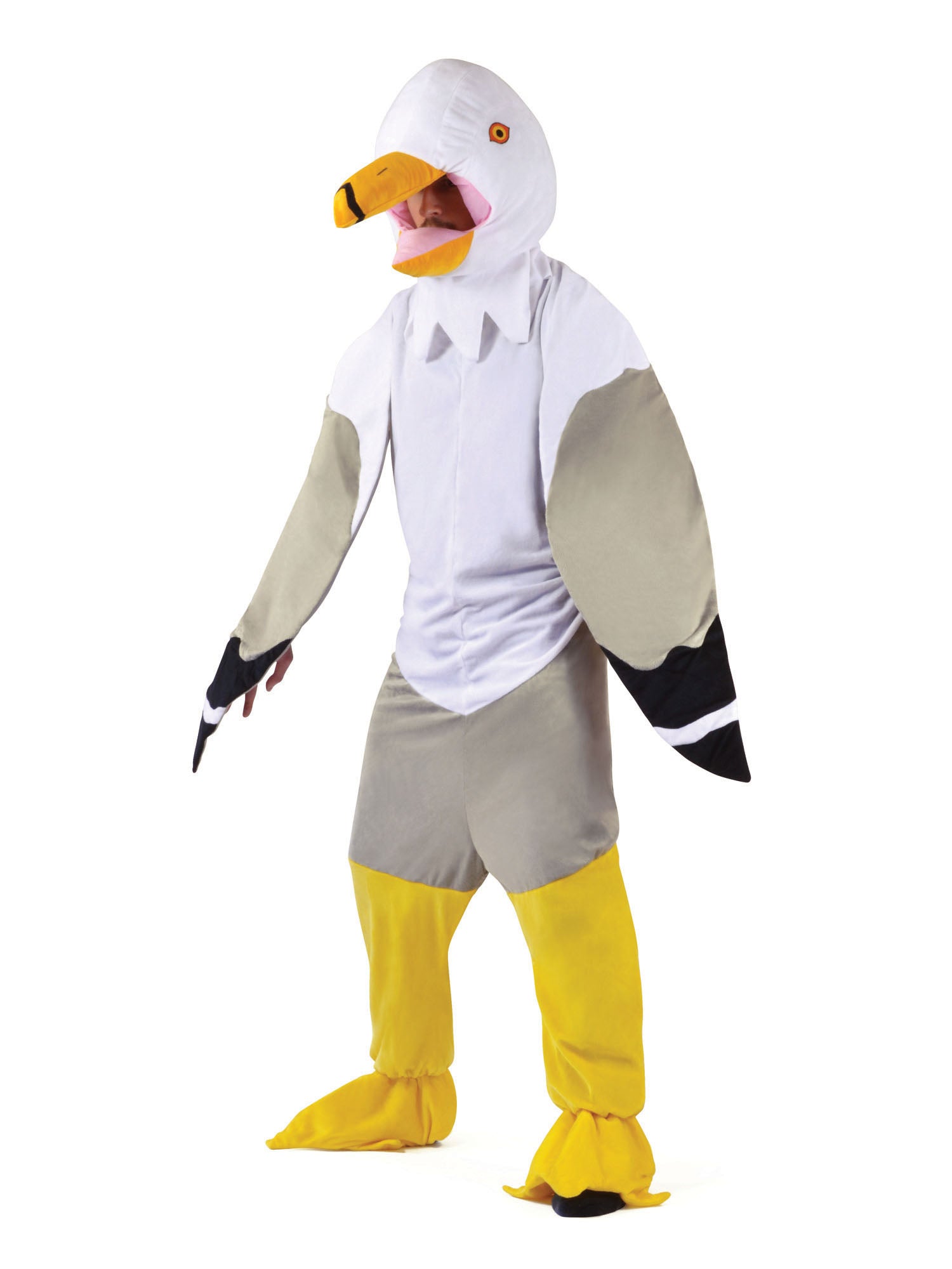 Big Head Seagull 1