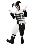 Harlequin Male 1
