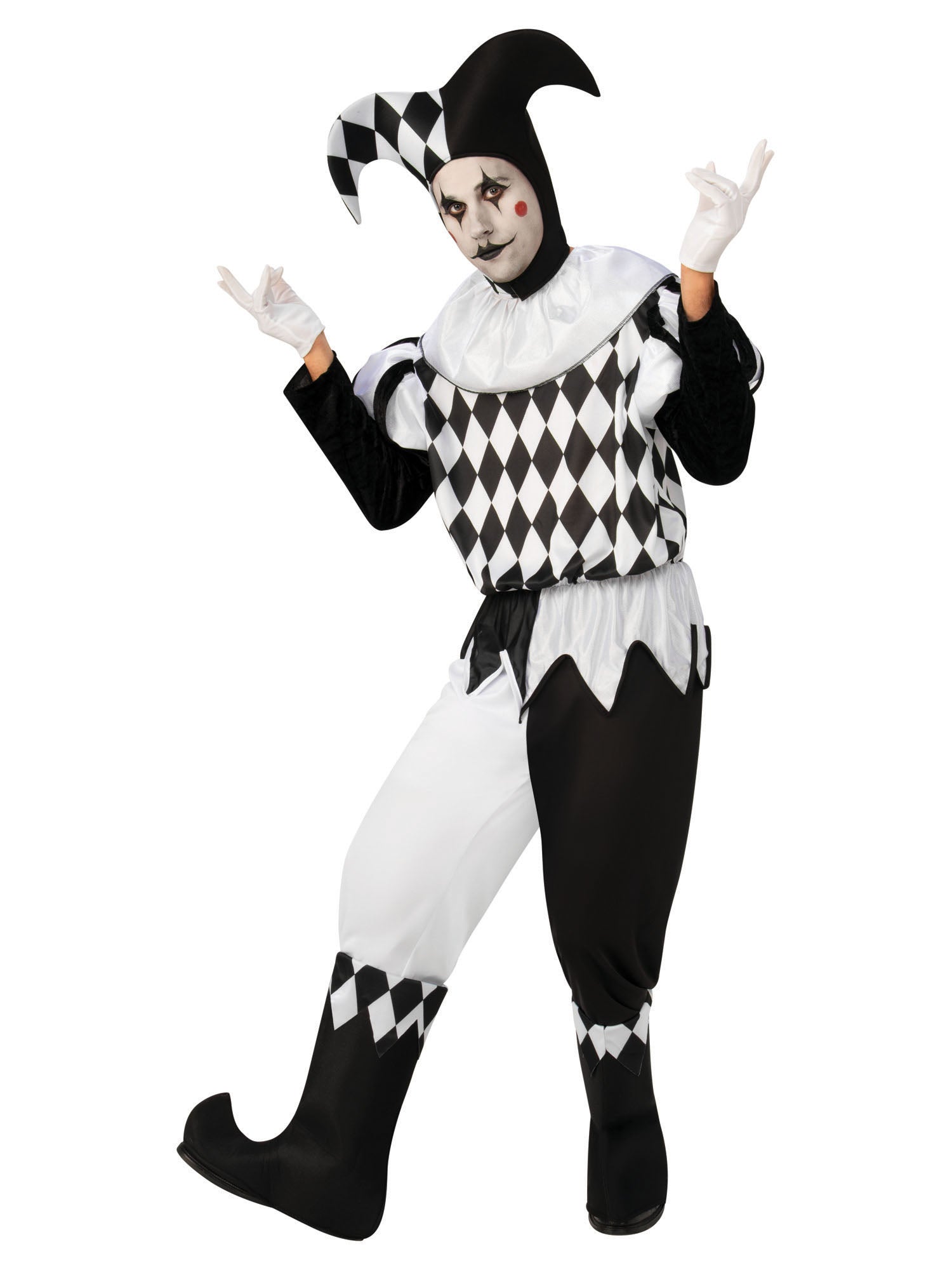 Harlequin Male 1