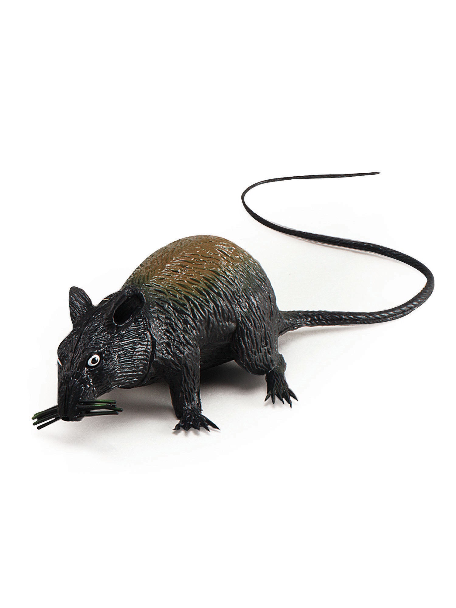 Squeaking Rat 1