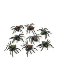 Spiders 1