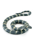 Cobra Snake. Rubber Bendable 1