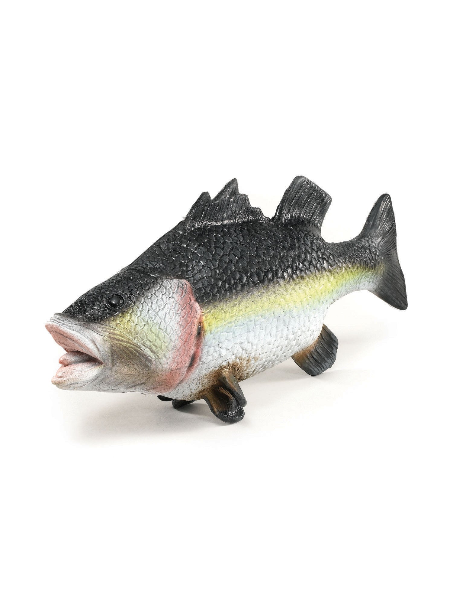 Fish Rubber 1