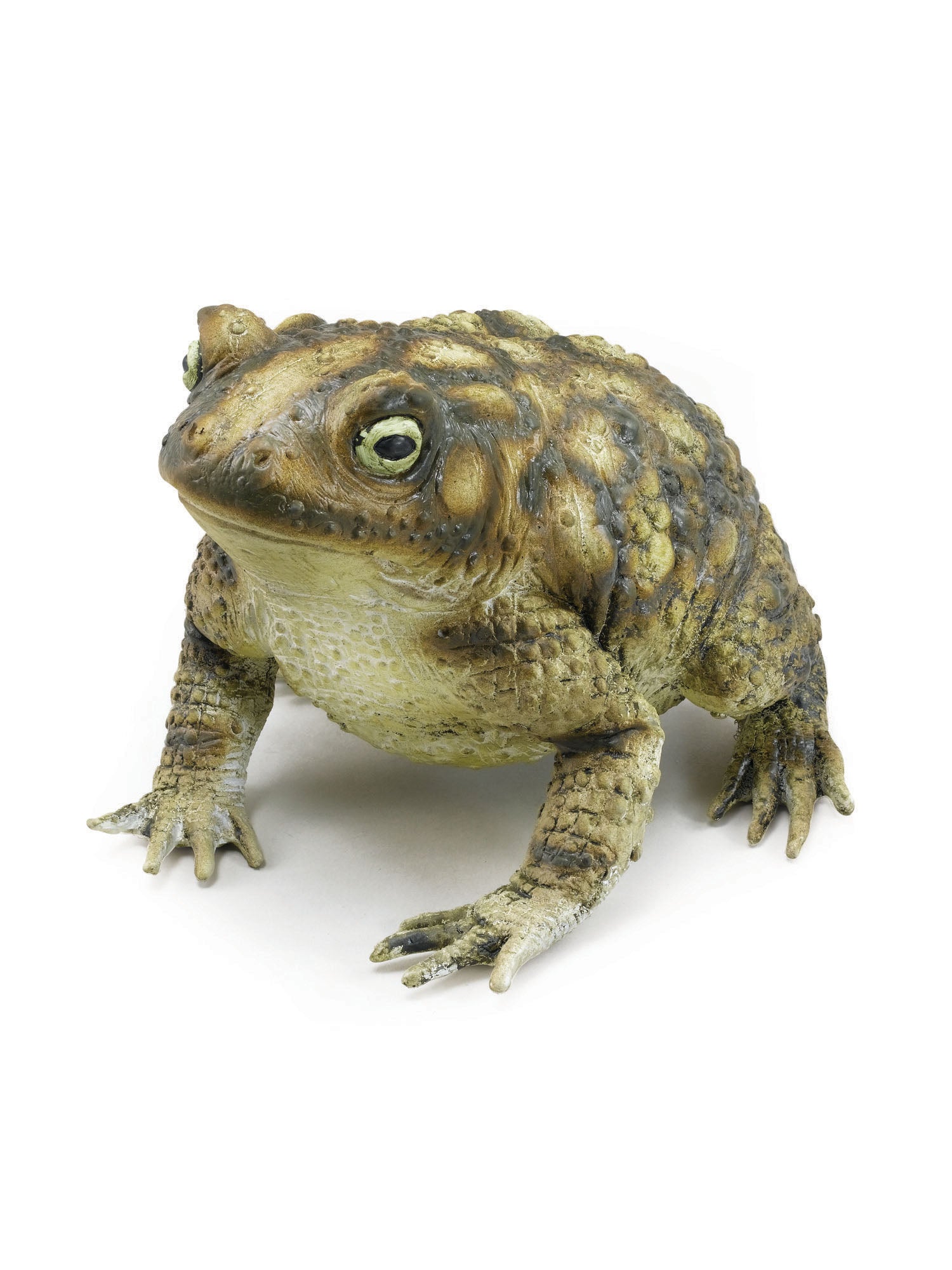 Toad (18Cm) Rubber 1