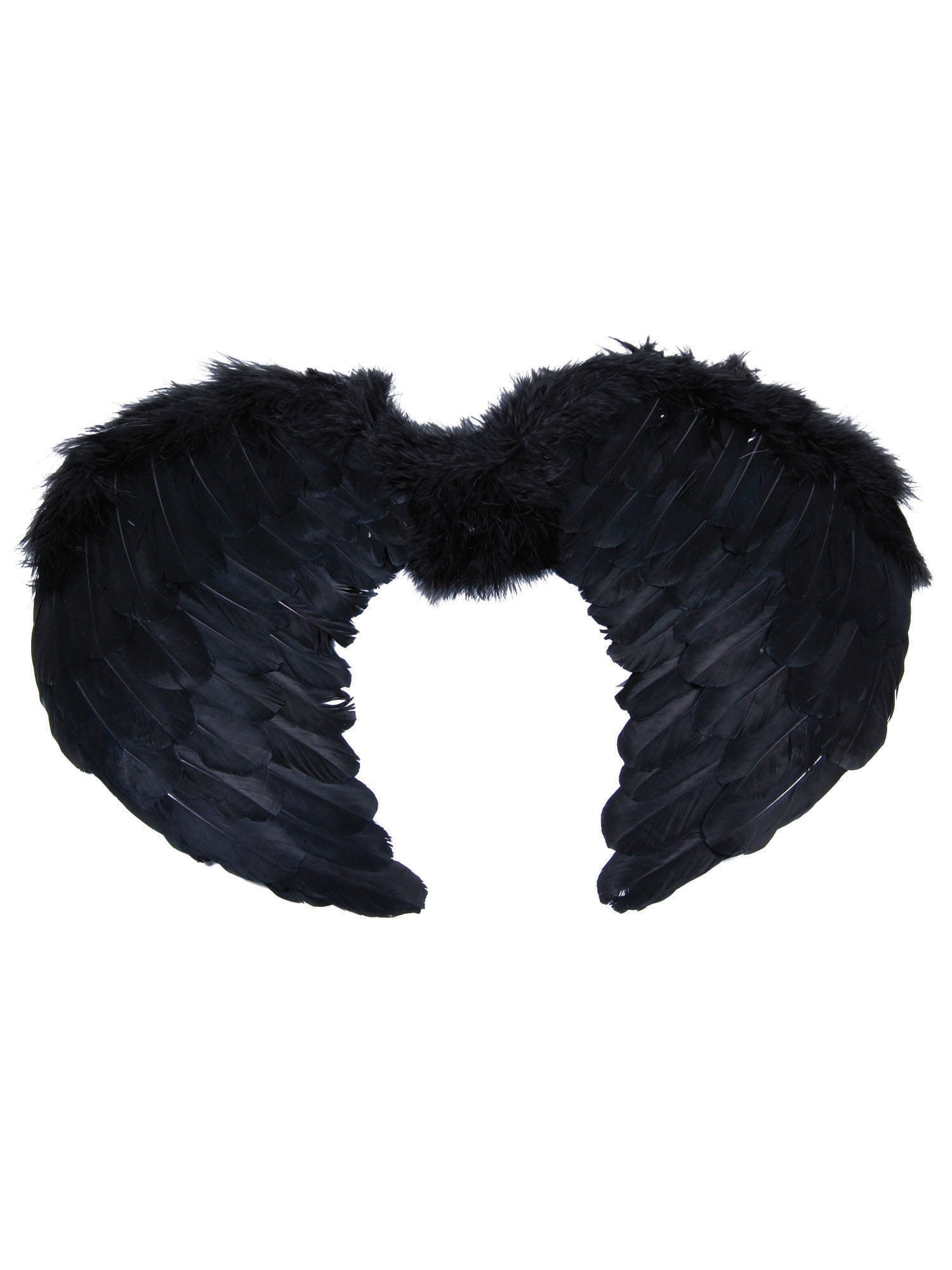 Angel Wings Black Feather Mini (B50) 1