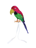 Parrot - Feather Covered (15In/38cm) 1