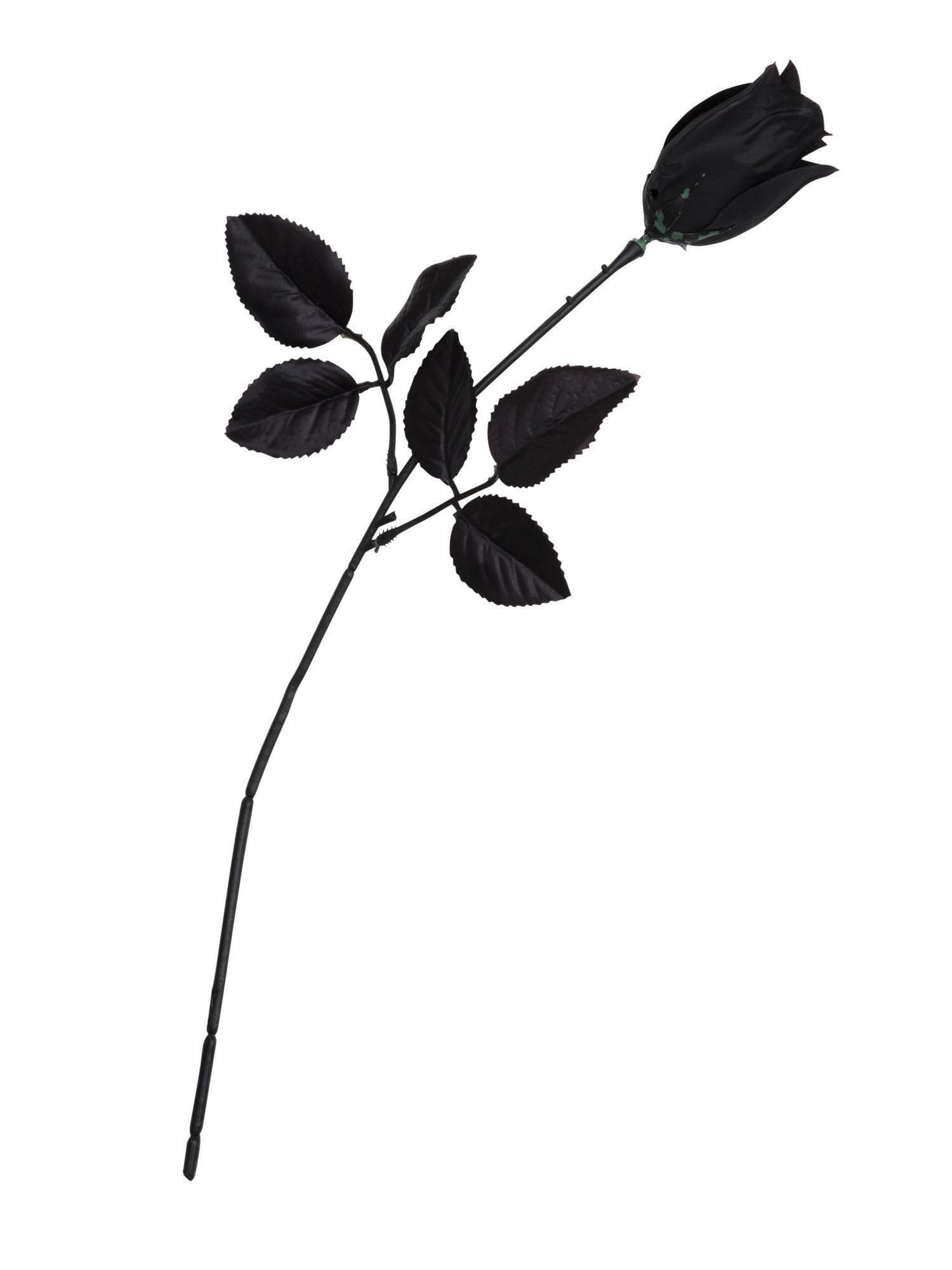 Rose Black 1