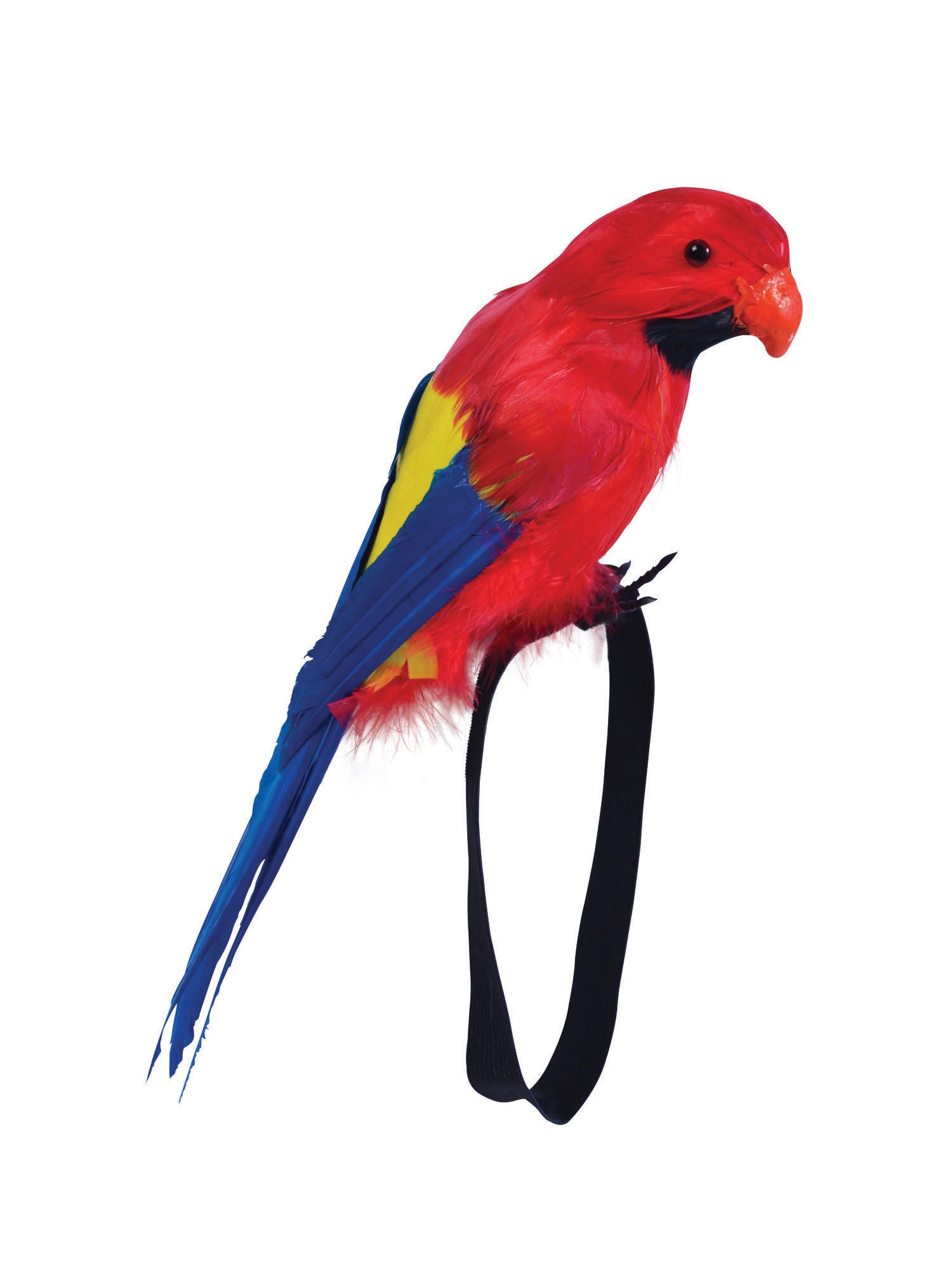 Parrot - Feather With Wrist Stap 1