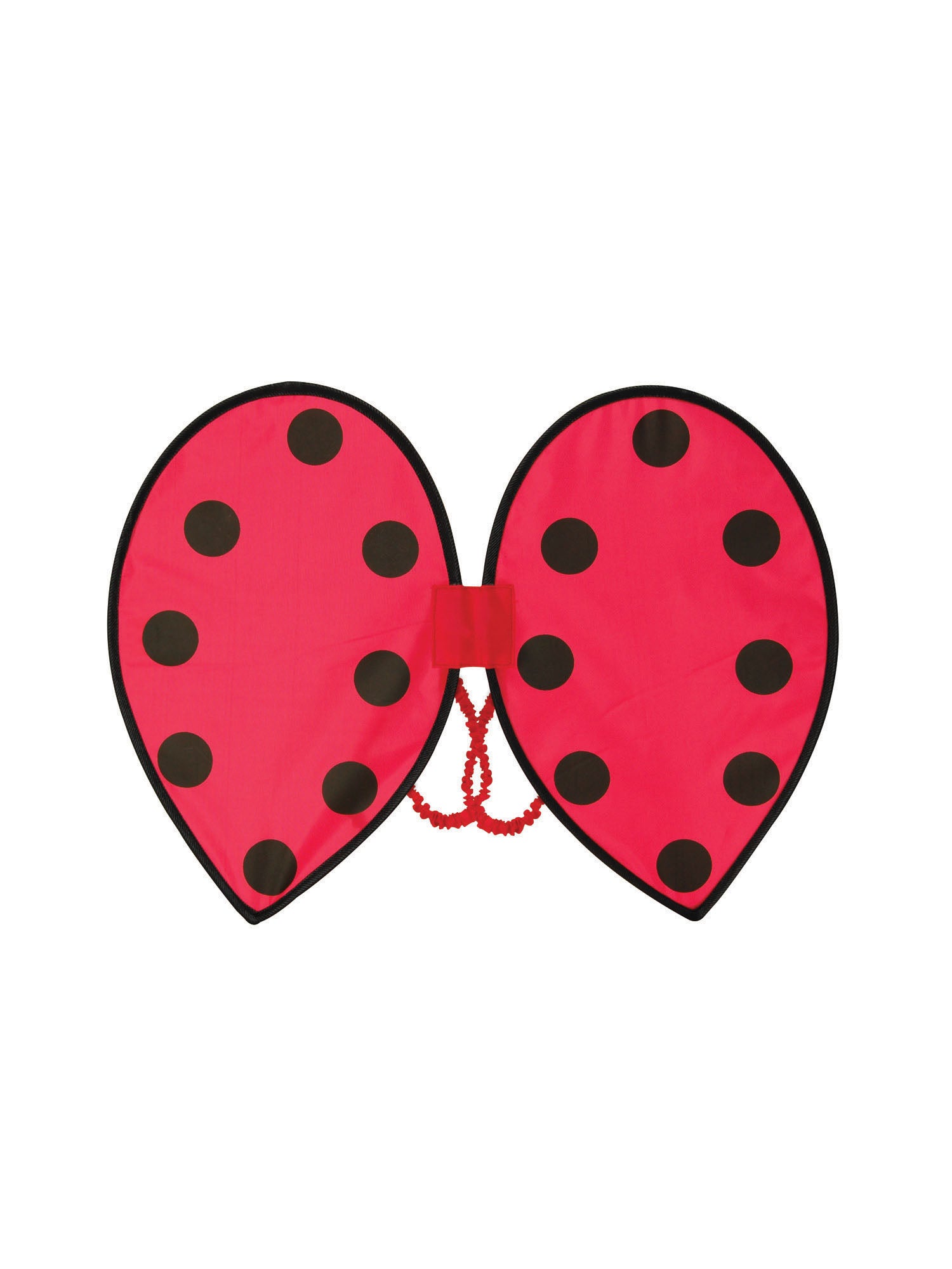 Ladybird Wings 1