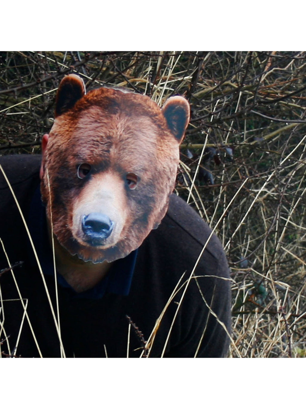 BEAR ANIMAL MASK 2