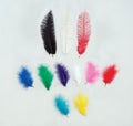Coloured Feathers 5 pack 1