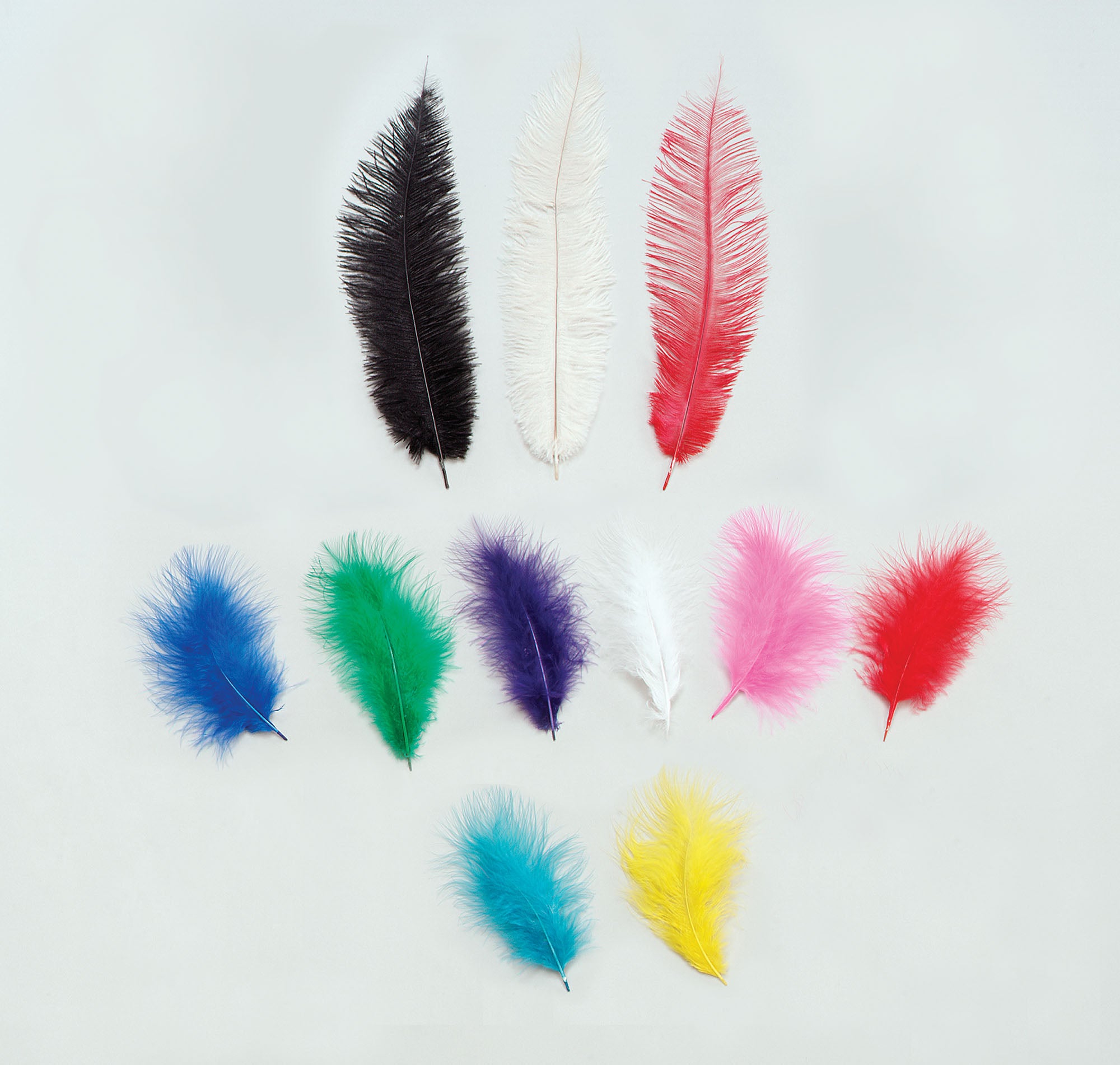 Coloured Feathers 5 pack 1