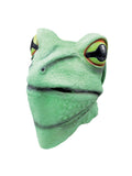 Rubber Frog Mask 1