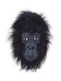 Gorilla Mask 1