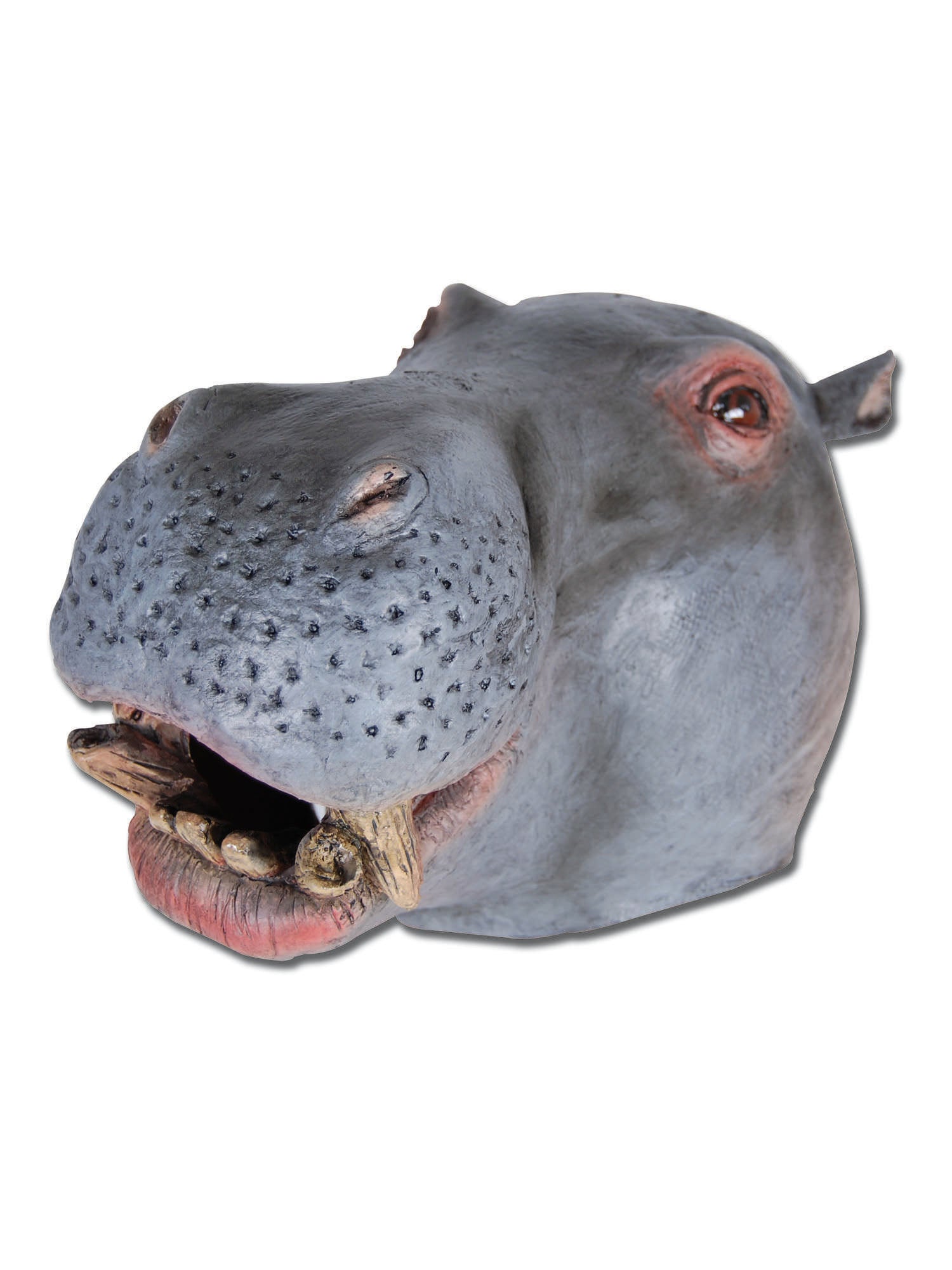 Hippo Mask Rubber O'Head 1