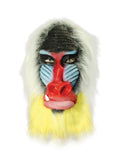 Baboon Mask Rubber O/Head 1
