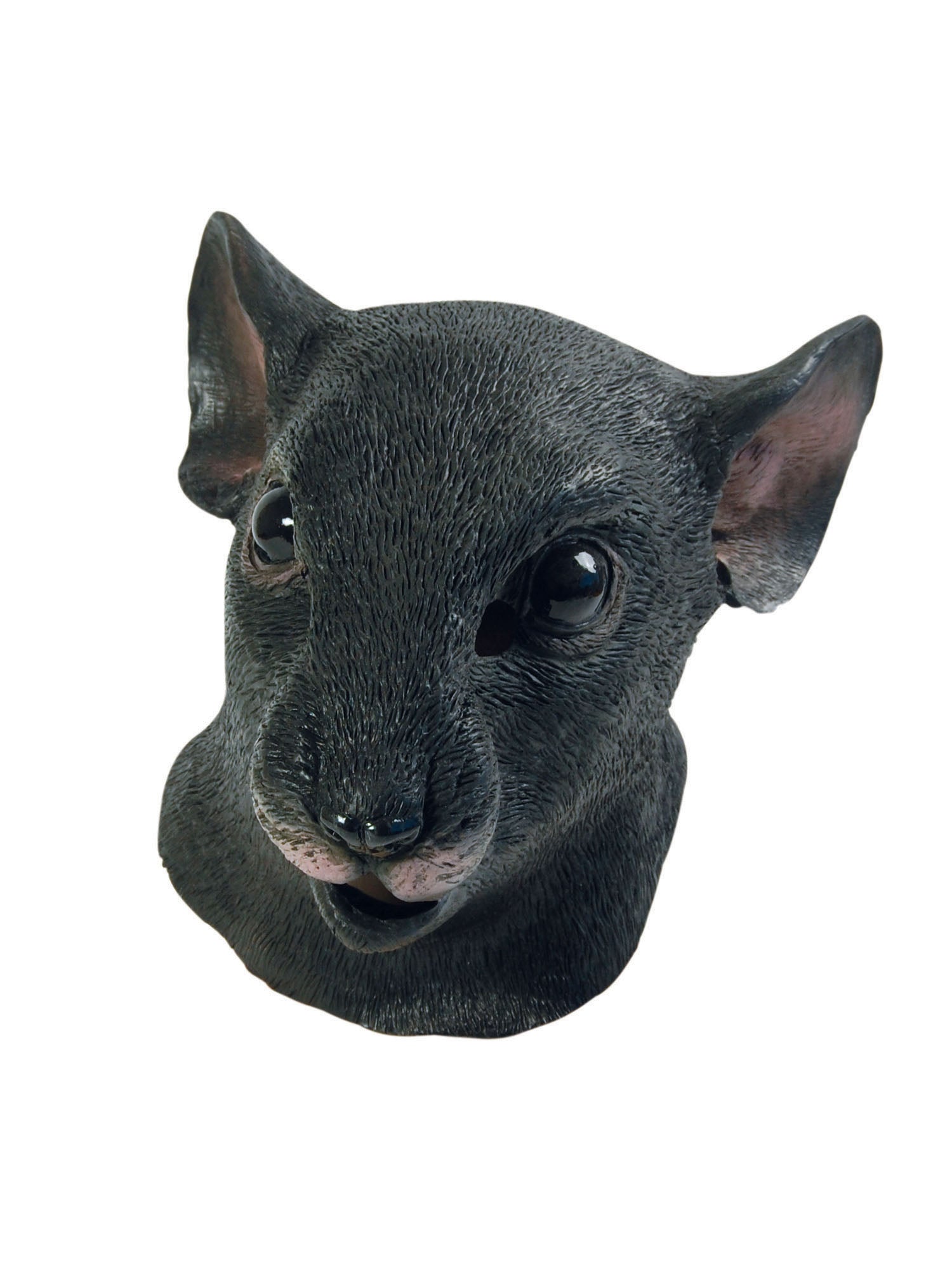 Rat Mask 1