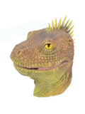 Lizard Mask 1