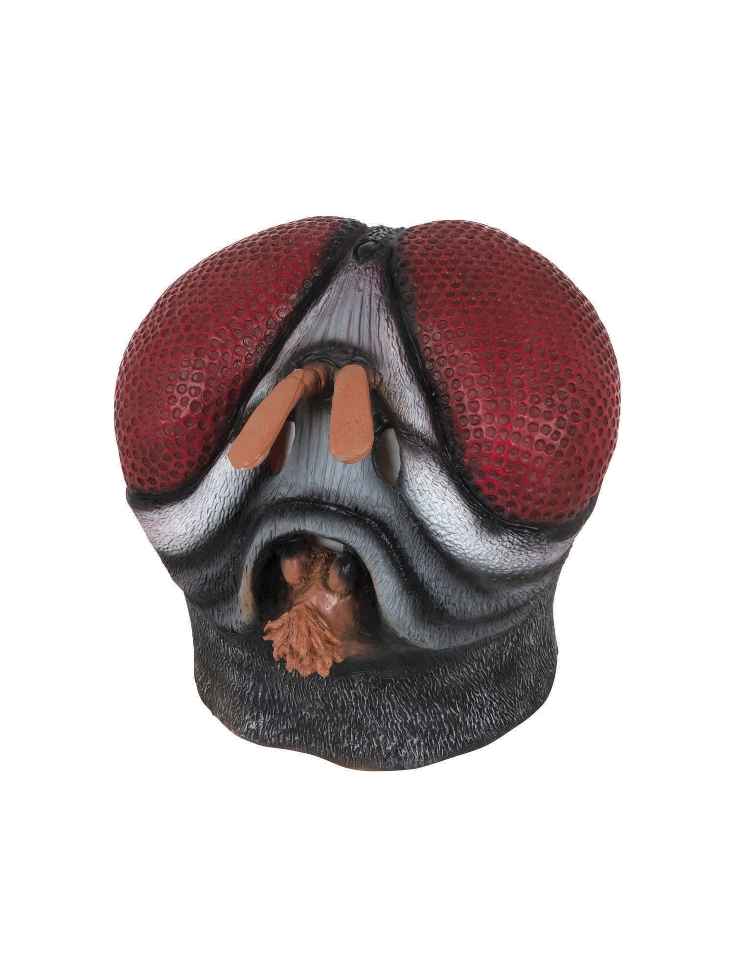 Fly Mask 1