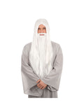 Wizard Wig + Beard Long White (Bagged) 1
