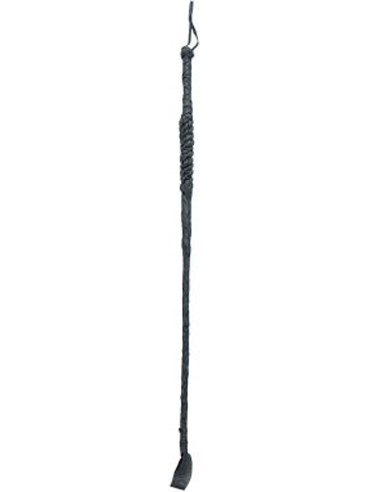 Riding Crop 1