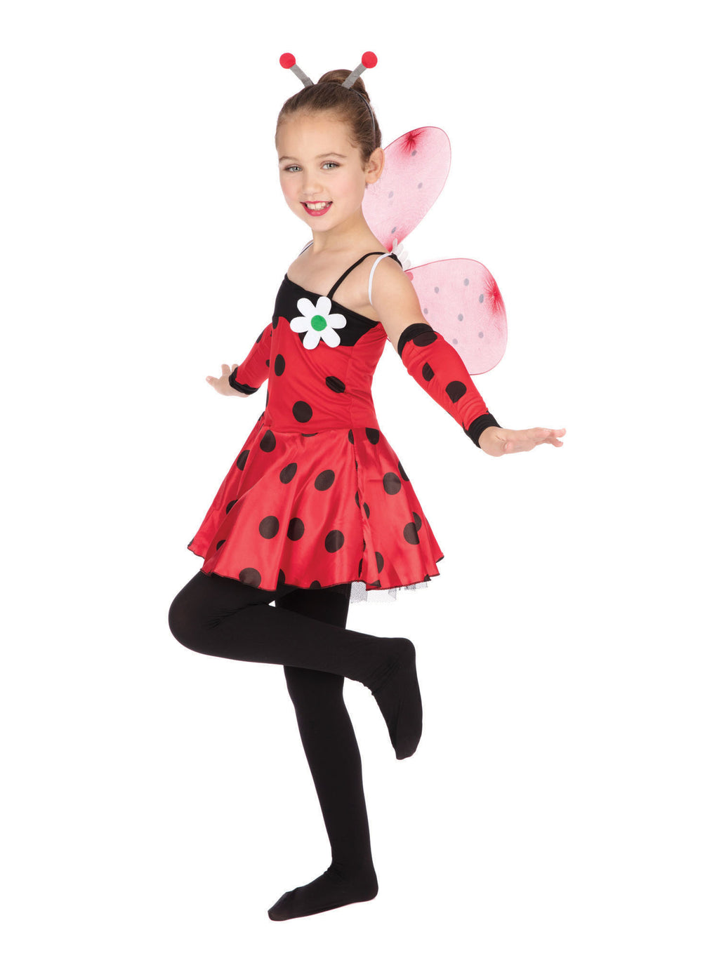 Ladybug 3