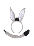 Donkey Set 1