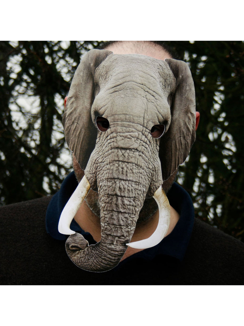 Elephant Animal Mask 2
