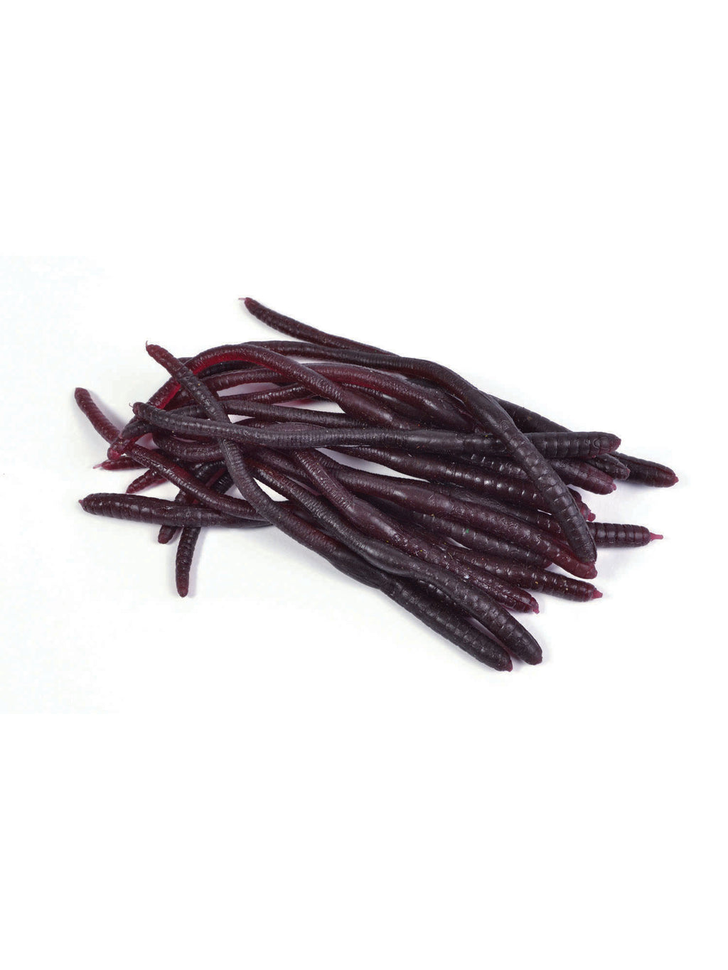 Earthworms (20Pcs) 1