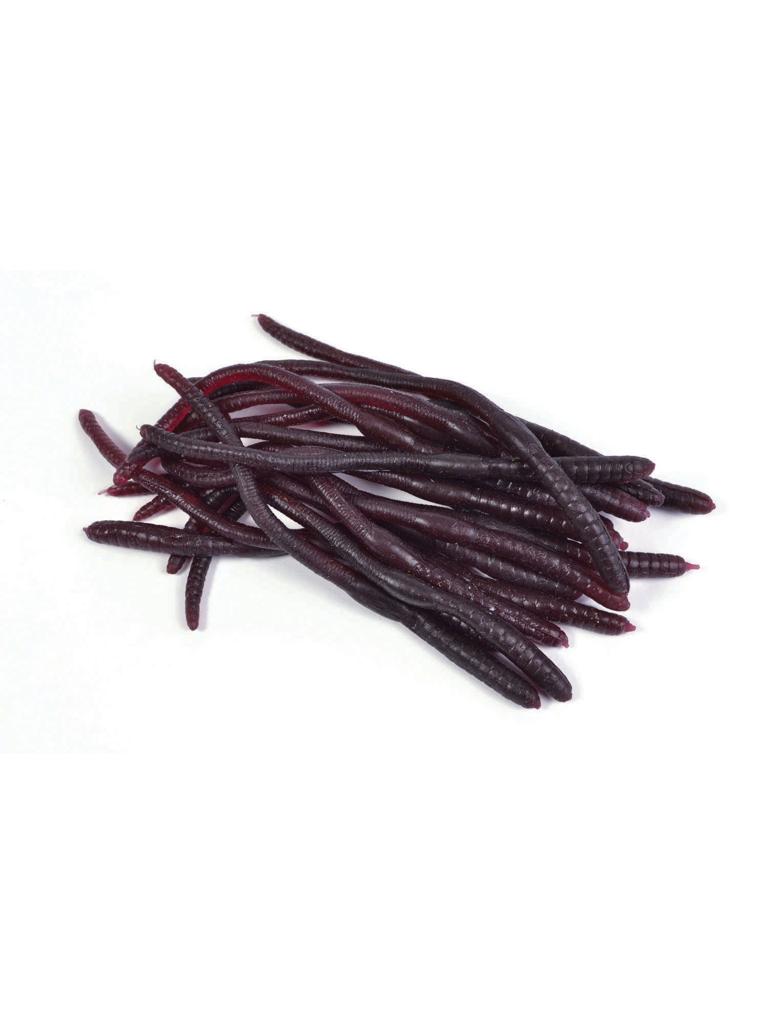Earthworms (20Pcs) 1