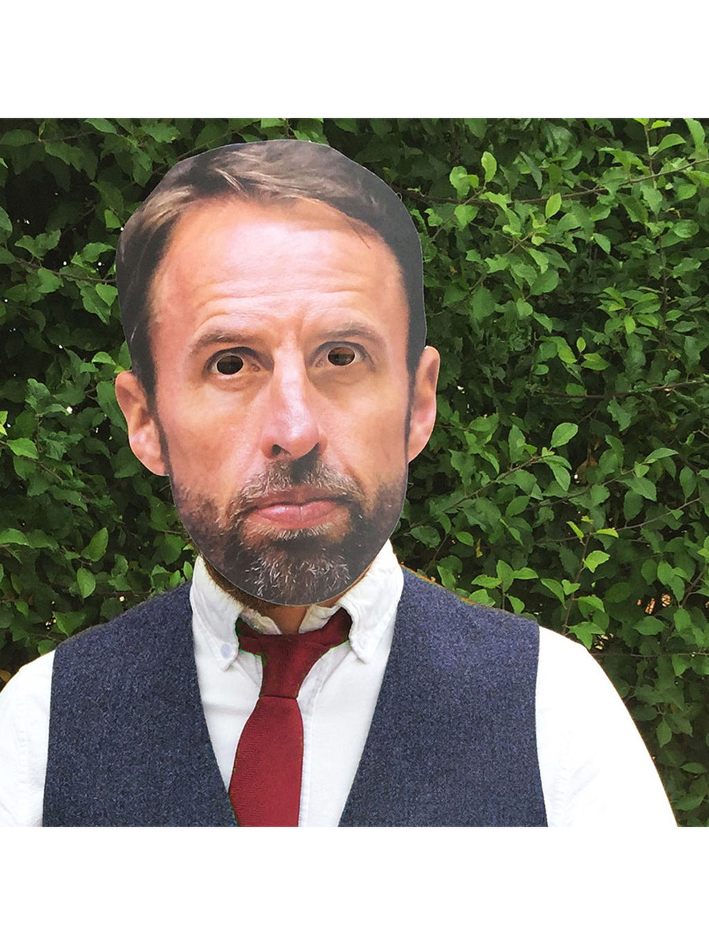 Gareth Southgate Celebrity Face Mask 2