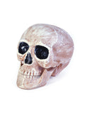 Skull Head Realistic 1