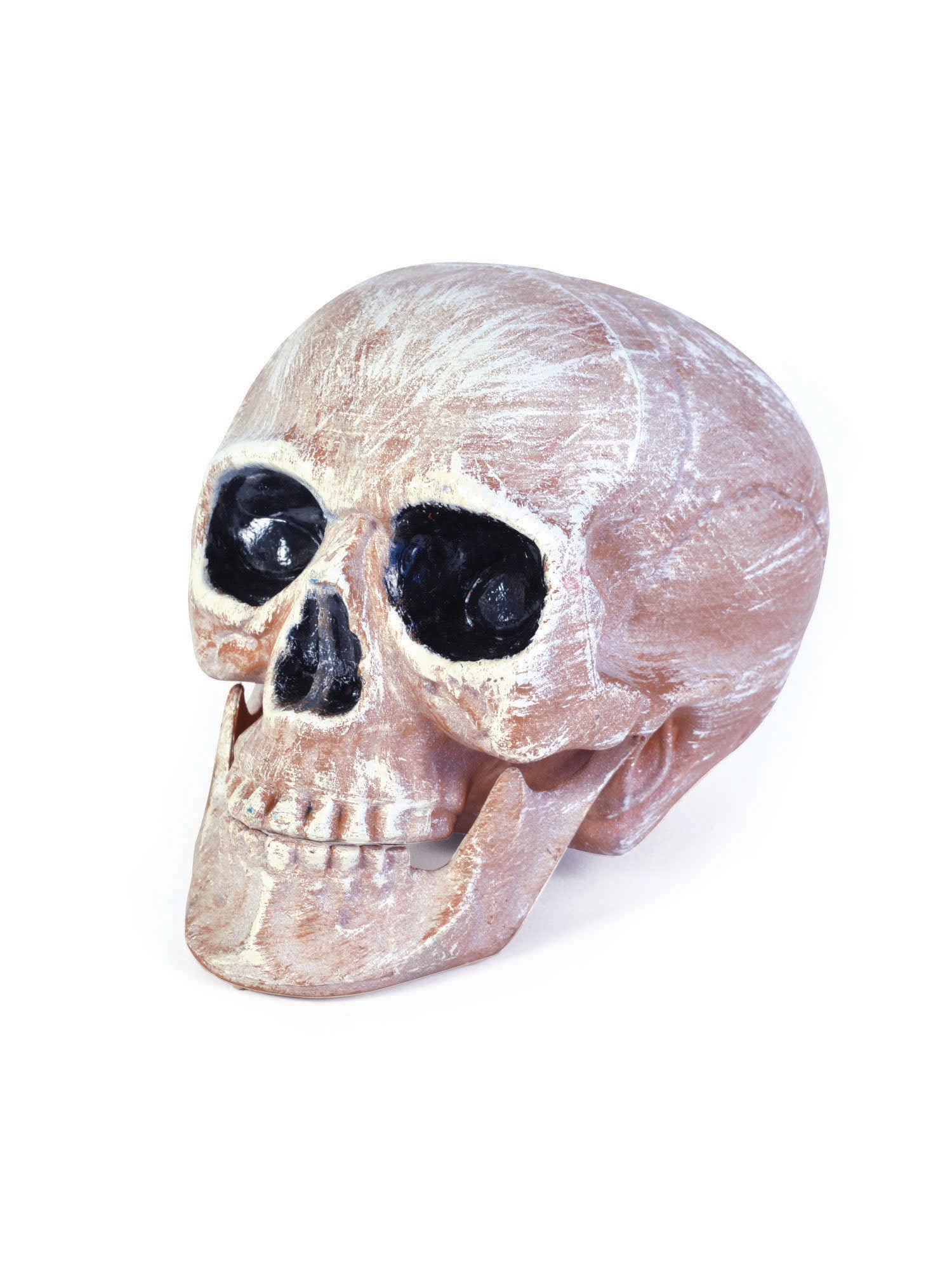 Skull Head Realistic 1