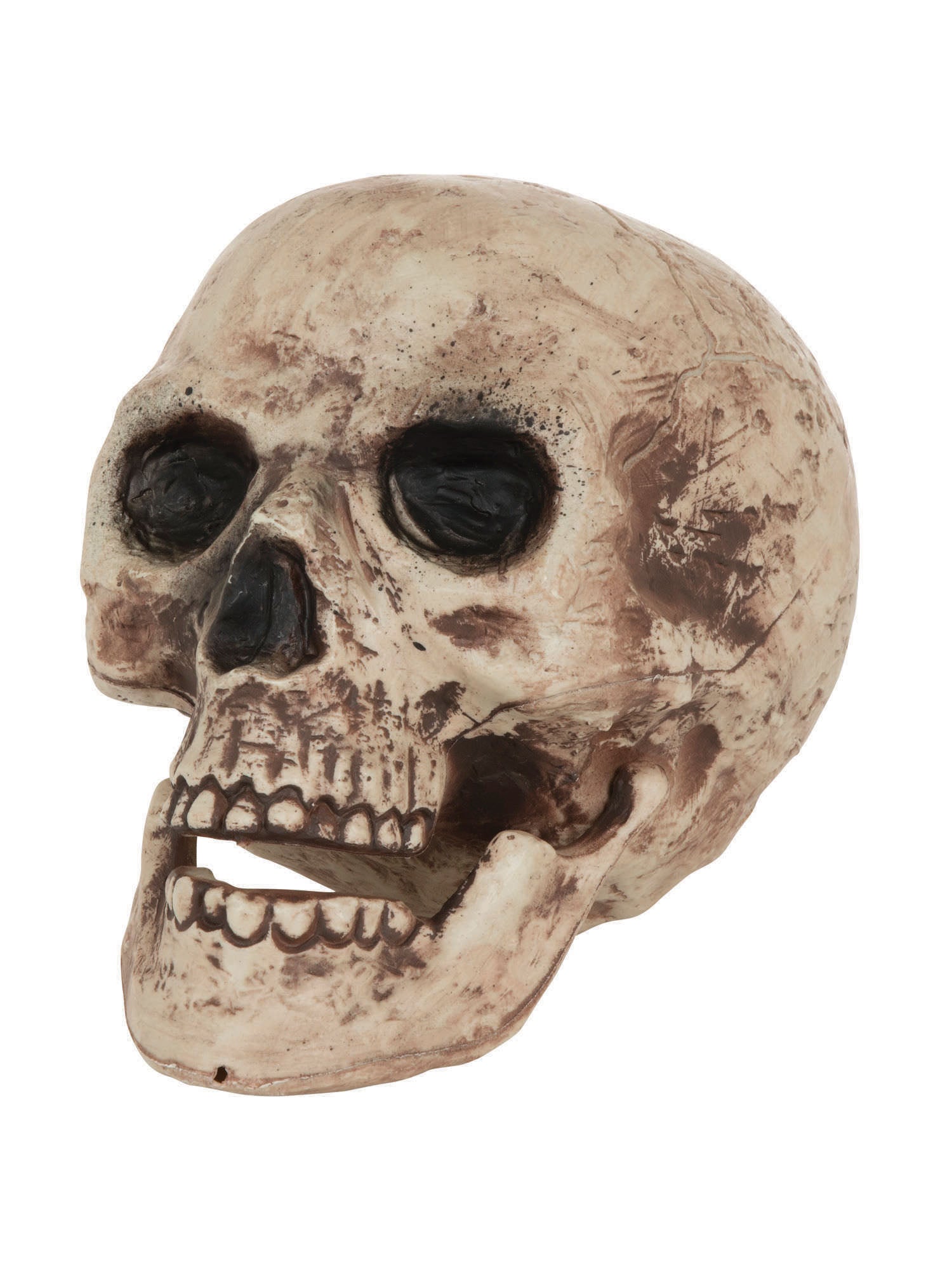 Skull Large 1