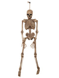 Skeleton 42 Inch / 106cm 1