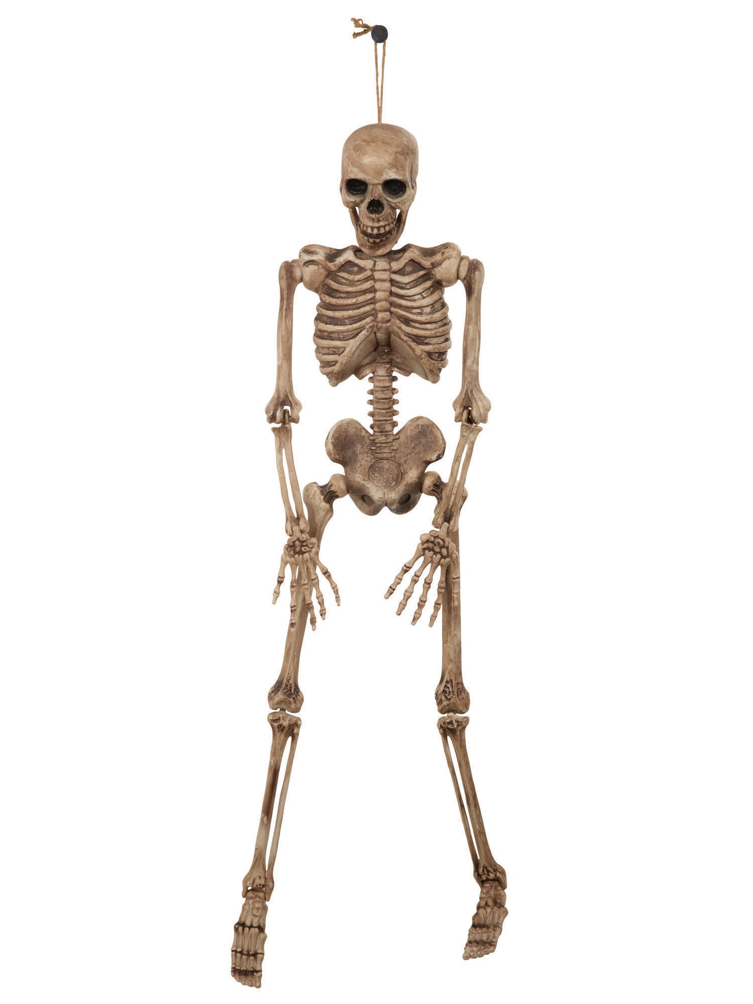 Skeleton 42 Inch / 106cm 1