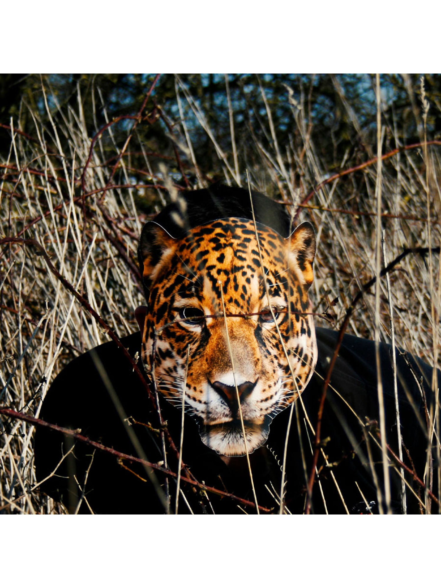 Leopard Animal Mask 4