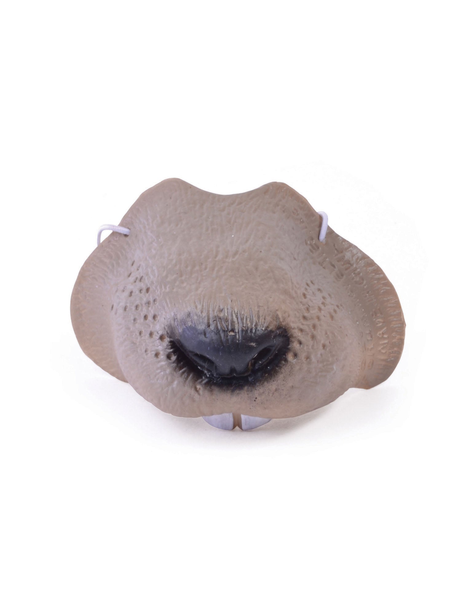 Mouse Nose 1