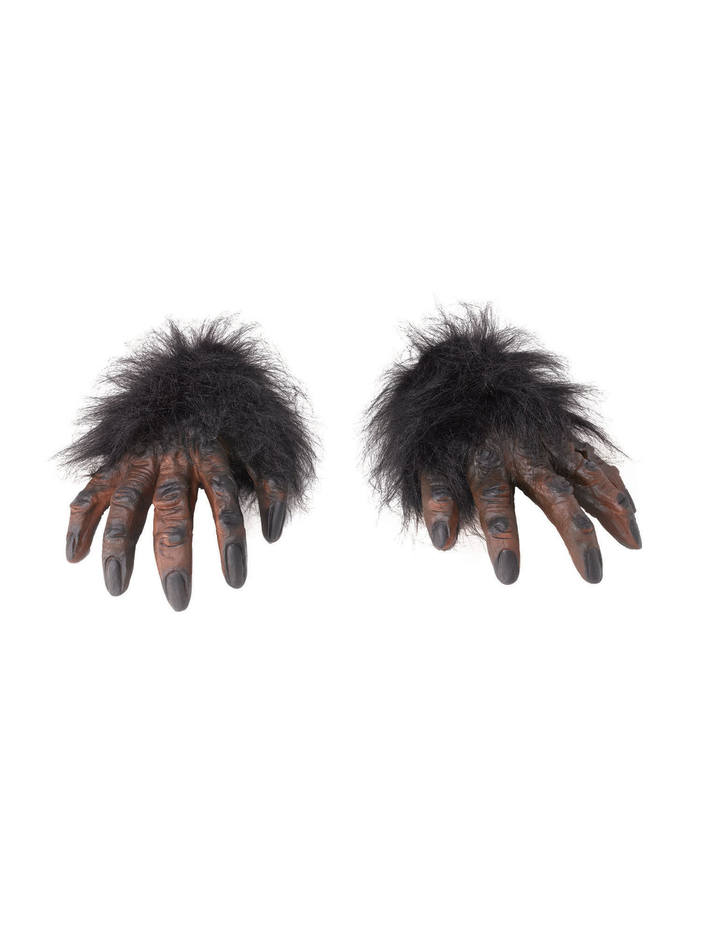 Brown Hairy Hands 1