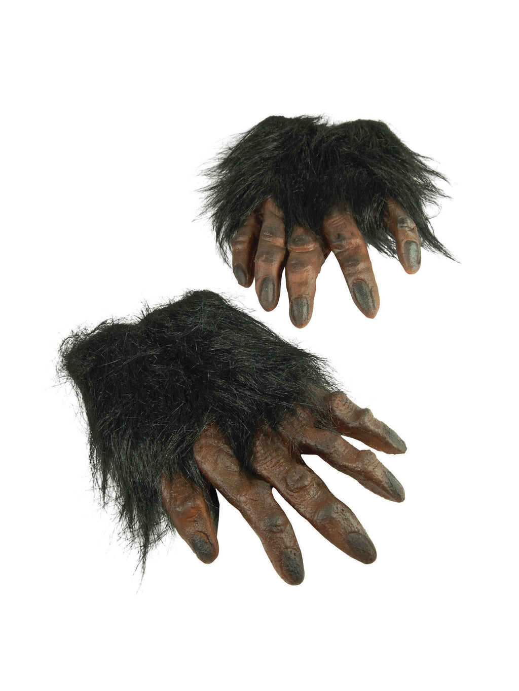 Brown Hairy Hands 2
