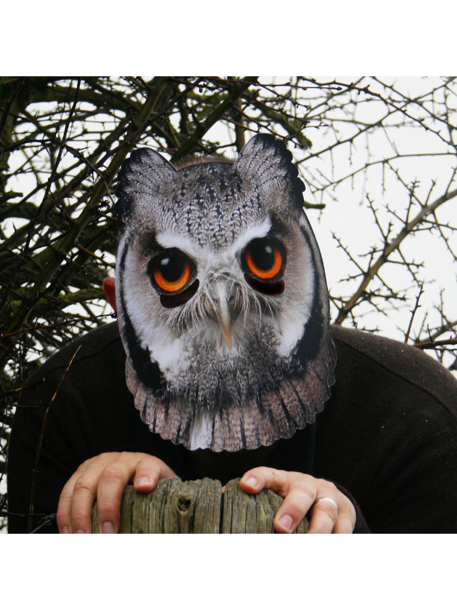 Owl Animal Mask 2