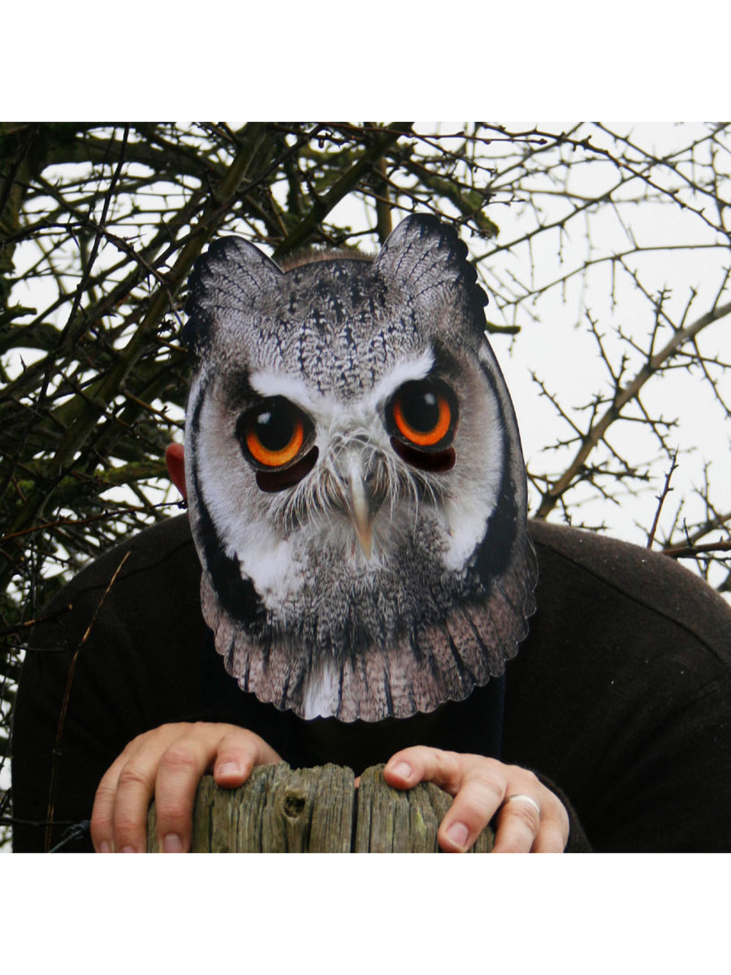 Owl Animal Mask 4