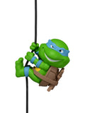 Leonardo Scaler 1
