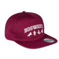 Harry Potter Hogwarts Snapback Cap 1