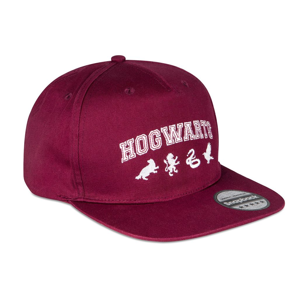 Harry Potter Hogwarts Snapback Cap 1